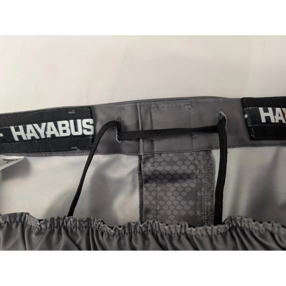 Hayabusa mma fight